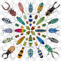 昆虫大集合-空若网 昆虫大集合-空若网