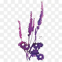 水彩芦苇-空若网 水彩芦苇-空若网