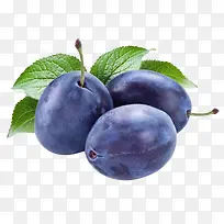 水果西梅植物树叶-空若网 水果西梅植物树叶-空若网