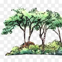 �ֻ�ˮ����ɫ����-������