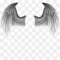 ���ͼ���ز�-������