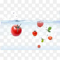 水中的番茄-空若网 水中的番茄-空若网