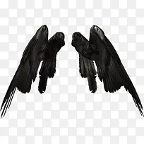 ��ħ��ʹ���-������