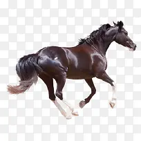 ±¼³ÛµÄ¿¥Âí-¿ÕÈôÍø ±¼³ÛµÄ¿¥Âí-¿ÕÈôÍø