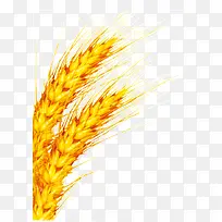 食物素材-空若网 食物素材-空若网