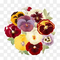 ��ʻ��ܲ���װ��ͼ��-������