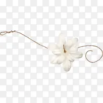 ��ɫ���ջ���-������