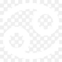 Լ�����ս�˹��ѧ�����ʼ�ҵ��������-��֢ռ����-������