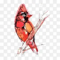 创意小鸟水彩画-空若网 创意小鸟水彩画-空若网