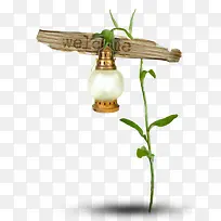 小草上的灯泡-空若网 小草上的灯泡-空若网