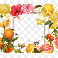 矢量水果边框-空若网 矢量水果边框-空若网