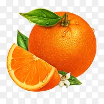 橙子水果-空若网 橙子水果-空若网