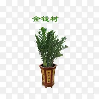 ��Ǯ��-������