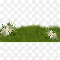 Â̲ݰ׻¨ËزÄ-¿ÕÈôÍø Â̲ݰ׻¨ËزÄ-¿ÕÈôÍø