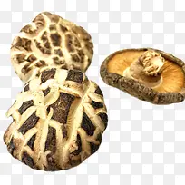 椴木花菇-空若网 椴木花菇-空若网