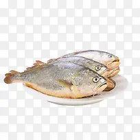 宁德大黄鱼-空若网 宁德大黄鱼-空若网