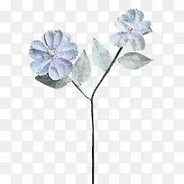 冬草-空若网 冬草-空若网