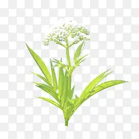 ��-������