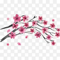 杏花开花PGN下载-空若网 杏花开花PGN下载-空若网