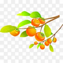 柿子树-空若网 柿子树-空若网