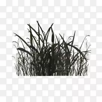沼泽植物黑白剪贴画.沼泽-空若网 沼泽植物黑白剪贴画.沼泽-空若网