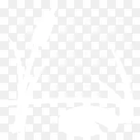 约翰霍普金斯大学电子邮件业务服务管理-沼泽-空若网 约翰霍普金斯大学电子邮件业务服务管理-沼泽-空若网