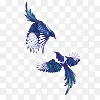 飞翔情侣小鸟-空若网 飞翔情侣小鸟-空若网