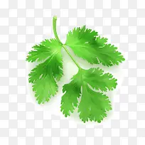 ʸÁ¿ÇÛ²ËÒ¶-¿ÕÈôÍø ʸÁ¿ÇÛ²ËÒ¶-¿ÕÈôÍø