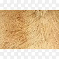 ë����������-������