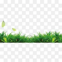 草丛-空若网 草丛-空若网