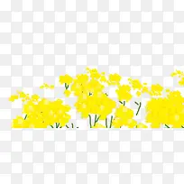 卡通手绘春天油菜花开-空若网 卡通手绘春天油菜花开-空若网