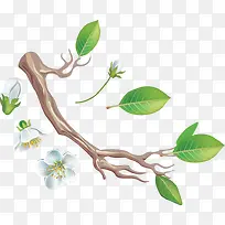 卡通桃花-空若网 卡通桃花-空若网