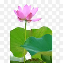 摄影图 高清-空若网 摄影图 高清-空若网