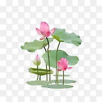 摄影图 高清-空若网 摄影图 高清-空若网