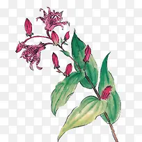 古风饰品卡通饰品素描-空若网 古风饰品卡通饰品素描-空若网