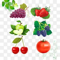 水果大全-空若网 水果大全-空若网