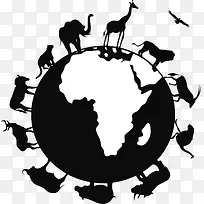 动物围绕地球-空若网 动物围绕地球-空若网