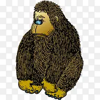 可爱的猿猴-空若网 可爱的猿猴-空若网