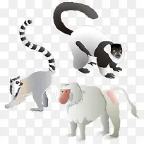 ��ͨԳ��-������