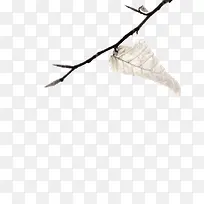 黑色树枝-空若网 黑色树枝-空若网