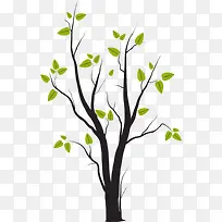 树 树木 木 植物-空若网 树 树木 木 植物-空若网