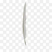 飘落白色羽毛-空若网 飘落白色羽毛-空若网