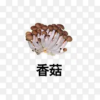香菇-空若网 香菇-空若网