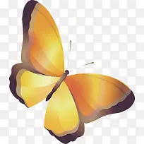 ��ɫ������������-������