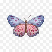 ��ɫ��ɫƴ���ֻ�������-������