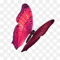 ·ÛÉ«ºûµû-¿ÕÈôÍø ·ÛÉ«ºûµû-¿ÕÈôÍø