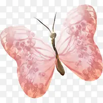 ��ɫ��������-������