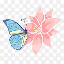 正在采蜜的蝴蝶-空若网 正在采蜜的蝴蝶-空若网