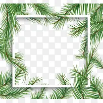 ��������ɫ����֦�߿�-������