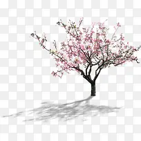 高清摄影开放的桃花-空若网 高清摄影开放的桃花-空若网